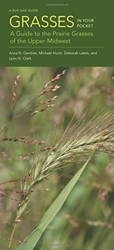 Beispielbild fr Grasses in Your Pocket: A Guide to the Prairie Grasses of the Upper Midwest (Bur Oak Guide) zum Verkauf von Midtown Scholar Bookstore