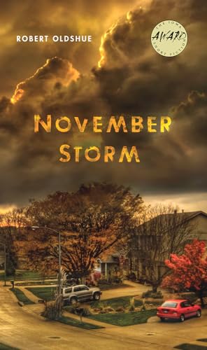 Beispielbild fr November Storm zum Verkauf von Better World Books