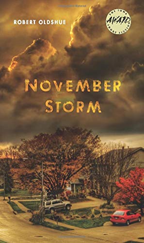 Imagen de archivo de November Storm a la venta por Better World Books