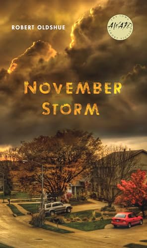 9781609384517: November Storm (Iowa Short Fiction Award)