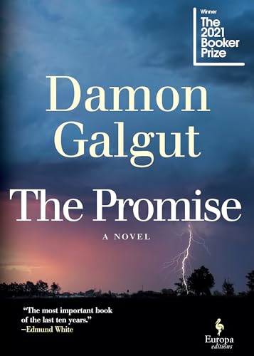 Stock image for The Promise: A Novel (Booker Prize Winner) for sale by Hippo Books