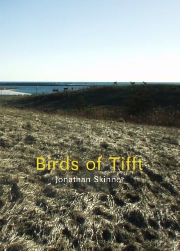 Stock image for Birds of Tifft for sale by ThriftBooks-Dallas
