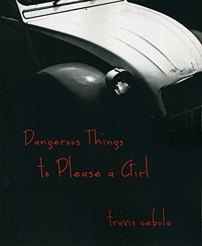 Stock image for Dangerous Things To Please a Girl for sale by Bookmans