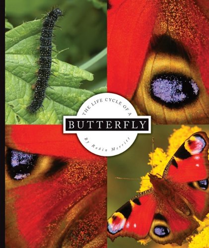 Stock image for The Life Cycle of a Butterfly for sale by Better World Books
