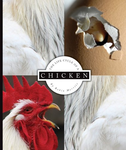 Stock image for The Life Cycle of a Chicken for sale by Better World Books