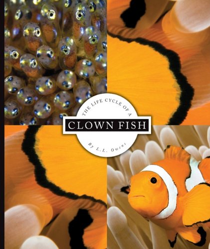 Beispielbild fr The Life Cycle of a Clown Fish zum Verkauf von Better World Books