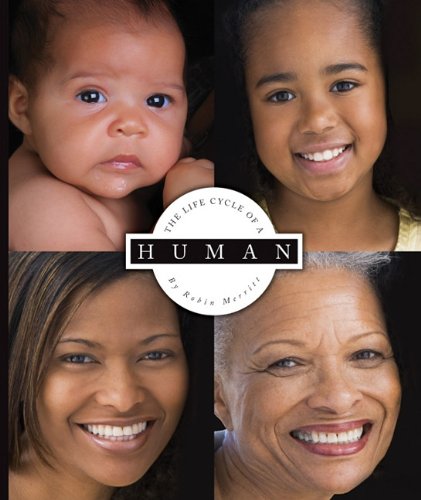 Stock image for The Life Cycle of a Human for sale by Better World Books