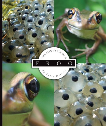 Stock image for The Life Cycle of a Frog for sale by Better World Books