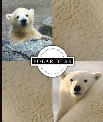 Stock image for The Life Cycle of a Polar Bear for sale by Better World Books