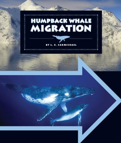 9781609736224: Humpback Whale Migration (Migrations)