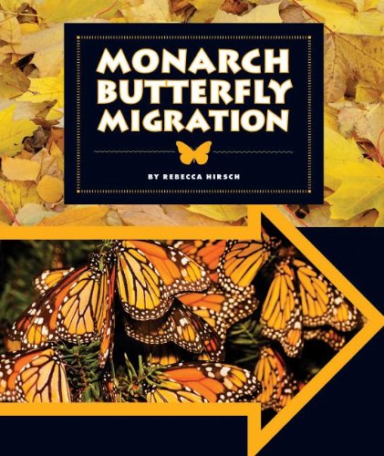 Imagen de archivo de Monarch Butterfly Migration (Animal Migrations) a la venta por SecondSale