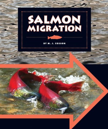 Stock image for Salmon Migration for sale by Better World Books