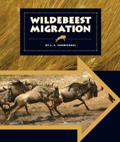 Imagen de archivo de Wildebeest Migration a la venta por Better World Books