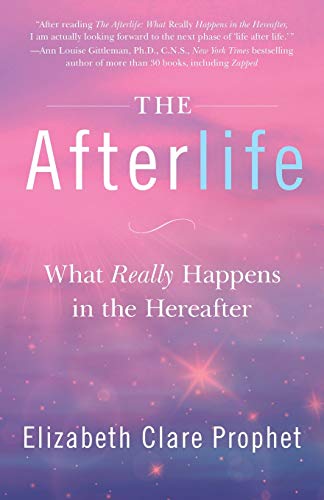 Beispielbild fr The Afterlife: What Really Happens in the Hereafter zum Verkauf von Books From California