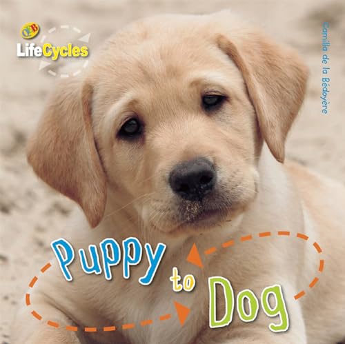Beispielbild fr Puppy to Dog zum Verkauf von Better World Books