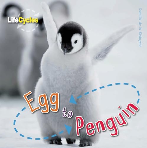 Beispielbild fr Egg to Penguin zum Verkauf von Better World Books