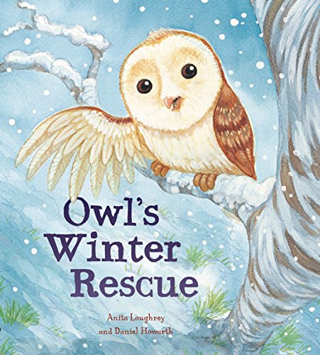 Beispielbild fr Owl's Winter Rescue zum Verkauf von Better World Books