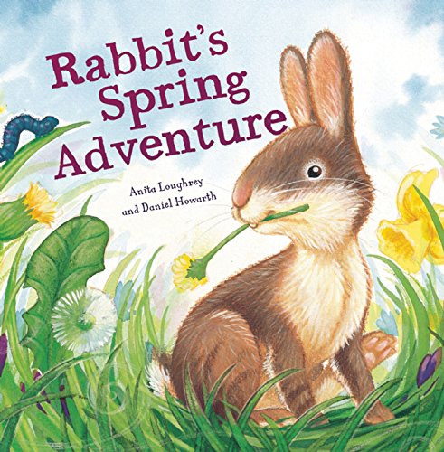 9781609922252: Rabbit's Spring Adventure