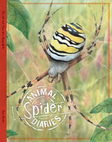 Stock image for Spider (Animal Diaries) for sale by HPB-Ruby