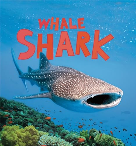 9781609923730: Whale Shark (Discover Sharks)