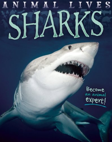 9781609926908: Sharks (Animal Lives)