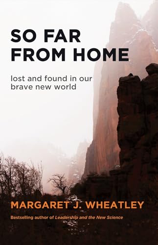 Stock image for So Far from Home : Lost and Found in Our Brave New World for sale by Better World Books