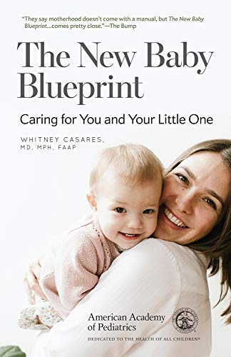 9781610023757: The New Baby Blueprint: Caring for You and Your Little One