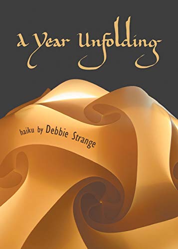 9781610192347: A Year Unfolding