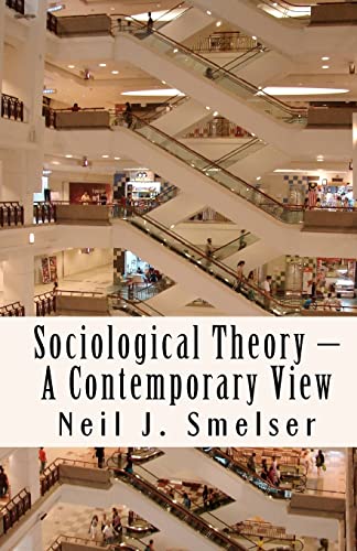 Imagen de archivo de Sociological Theory A Contemporary View: How to Read, Criticize and Do Theory (Classics of the Social Sciences) a la venta por Friends of  Pima County Public Library