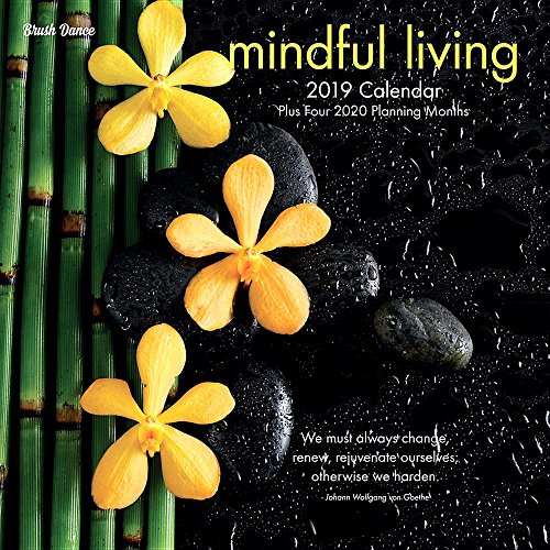 9781610466837: Mindful Living 2019 Calendar