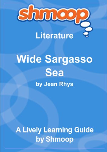 Beispielbild fr Wide Sargasso Sea: Shmoop Literature Guide zum Verkauf von WorldofBooks