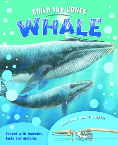 Stock image for Build the Bones: Whale [With 3-D Model] for sale by ThriftBooks-Dallas
