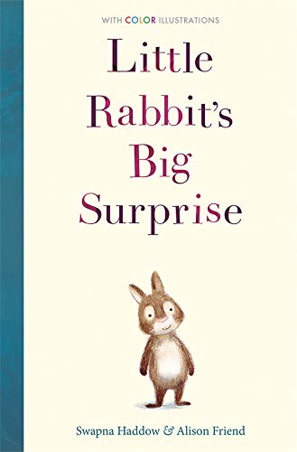 Beispielbild fr Little Rabbit's Big Surprise zum Verkauf von ThriftBooks-Atlanta