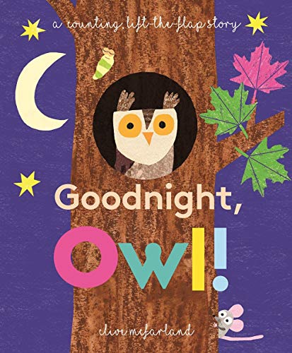 9781610679084: Goodnight, Owl!