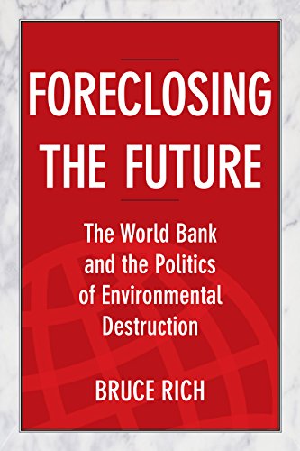 Beispielbild fr Foreclosing the Future: The World Bank and the Politics of Environmental Destruction zum Verkauf von Wonder Book