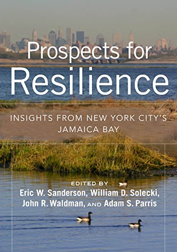 Beispielbild fr Prospects for Resilience: Insights from New York City's Jamaica Bay zum Verkauf von Turning the Page DC