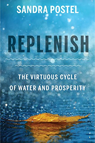 Stock image for Replenish : The Virtuous Cycle of Water and Prosperity for sale by Better World Books