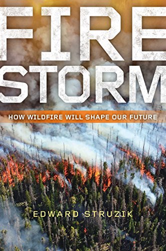 Stock image for Firestorm: How Wildfire Will Shape Our Future for sale by ZBK Books