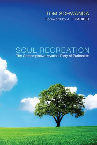 Beispielbild fr Soul Recreation zum Verkauf von SecondSale