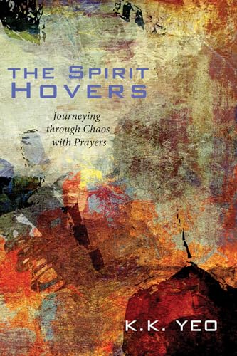 9781610975063: The Spirit Hovers: Journeying Through Chaos with Prayers