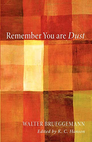 9781610975353: Remember You Are Dust