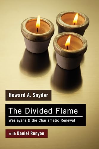 Beispielbild fr The Divided Flame: Wesleyans & the Charismatic Renewal zum Verkauf von Revaluation Books