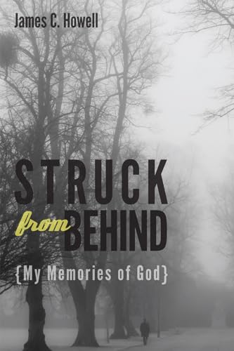 Stock image for Struck from Behind: My Memories of God for sale by Red's Corner LLC