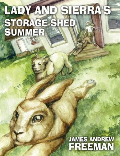 Beispielbild fr Lady and Sierra's Storage Shed Summer zum Verkauf von Better World Books