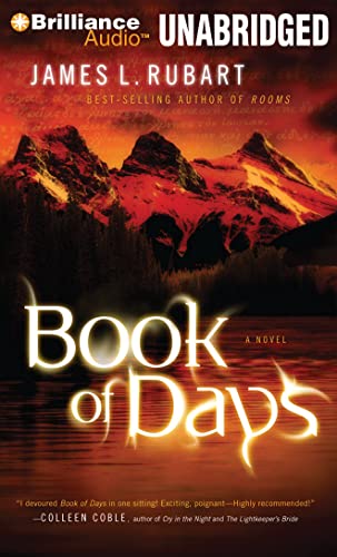 9781611064315: Book of Days: A Novel