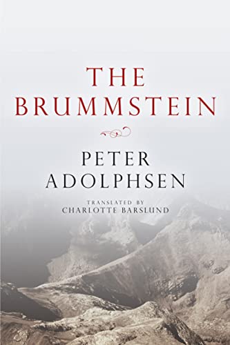 9781611090284: The Brummstein