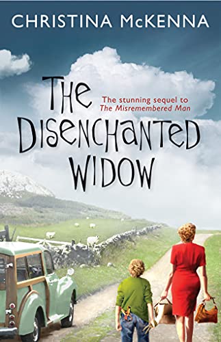 9781611099539: The Disenchanted Widow