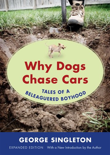 Beispielbild fr Why Dogs Chase Cars : Tales of a Beleaguered Boyhood zum Verkauf von Better World Books