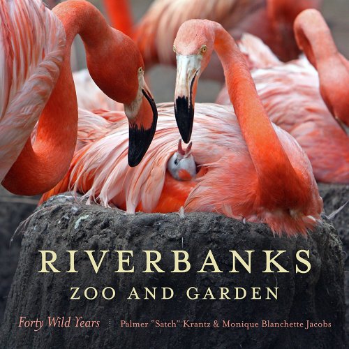 Stock image for Riverbanks Zoo and Garden: Forty Wild Years for sale by Revaluation Books