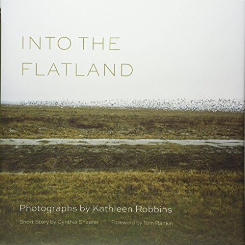 Beispielbild fr Into the Flatland zum Verkauf von Revaluation Books